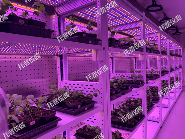 托普植物工厂——解锁科研与生产新可能！